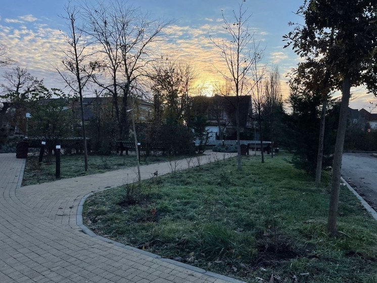 За полтора месяца в Новороссийске высадили 3500 деревьев и кустарников