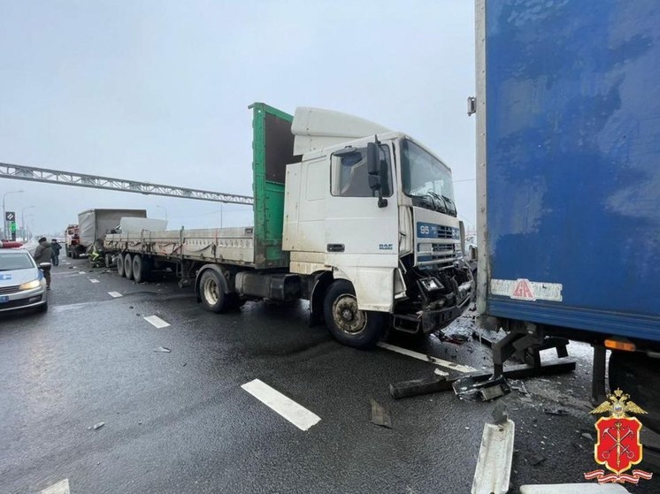За сутки в ДТП в Ленобласти погибли двое, пострадали пятеро
