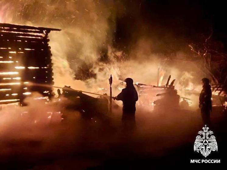 В Тверской области глубокой ночью сгорел дом в деревне