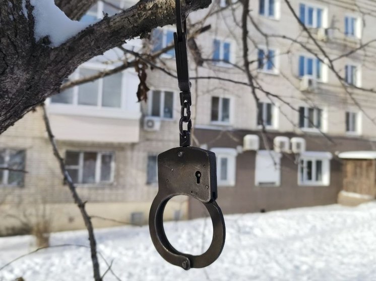 Пенсионер перевел мошеннику - страховому агенту более 1 миллиона рублей в ЕАО