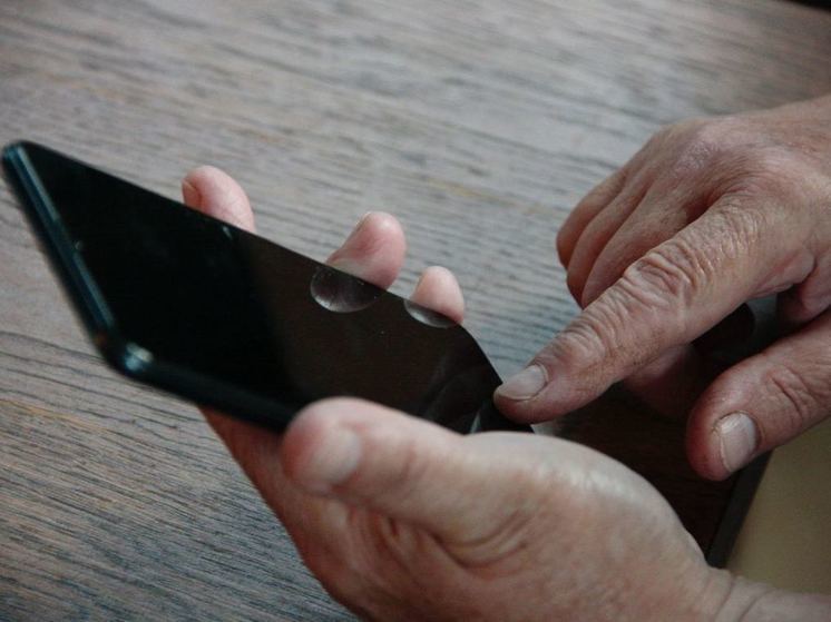 Жителей Хакасии предупредили об опасности «голосования за рисунок»