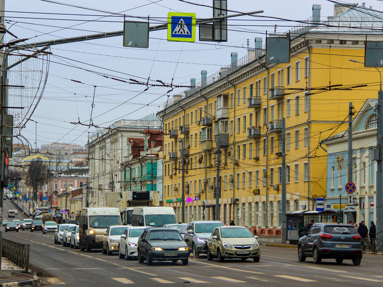 Туляки смогут анонимно сделать замечание автовладельцу через госуслуги