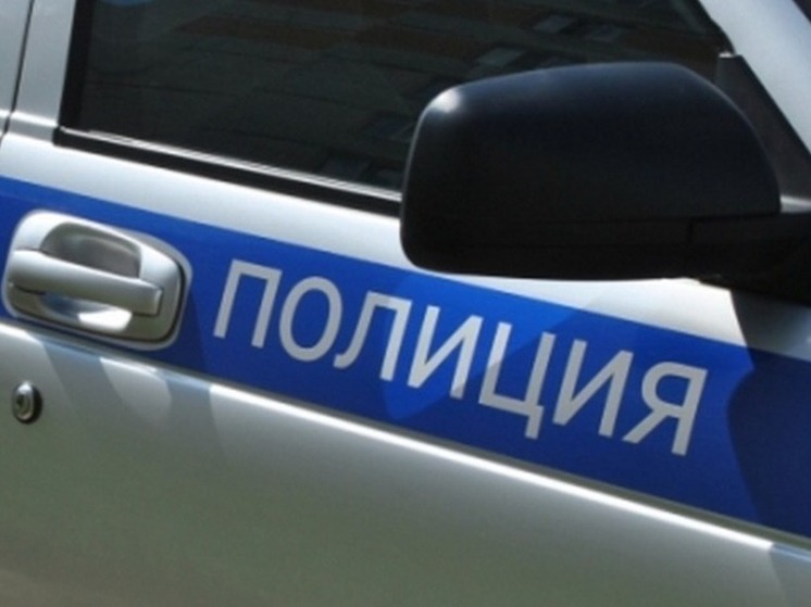 Полицейские задержали тамбовчанина, застрелившего породистую собаку
