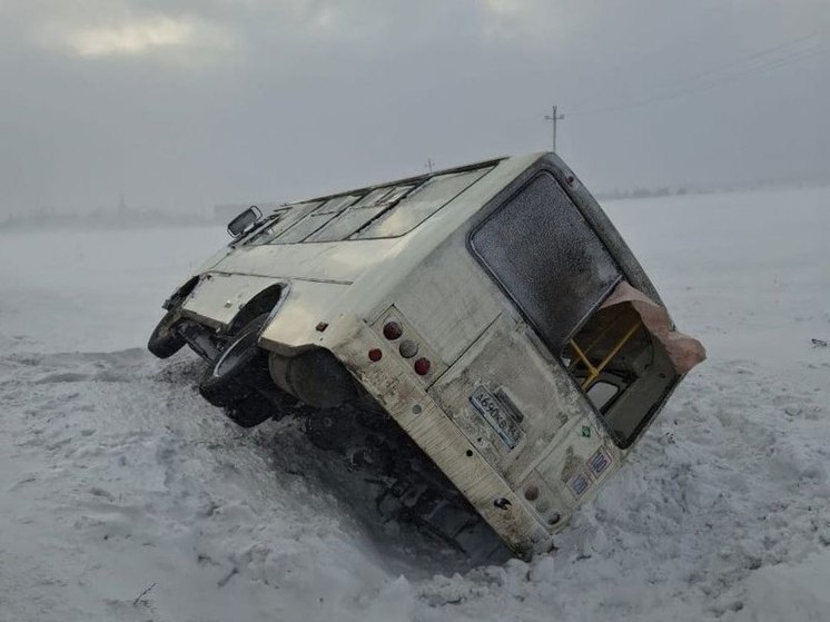 Женщина погибла при ДТП с автобусом на трассе в Кузбассе