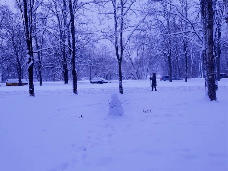 Новгородцев ждет хмурая погода с небольшим снегом в предстоящие три дня