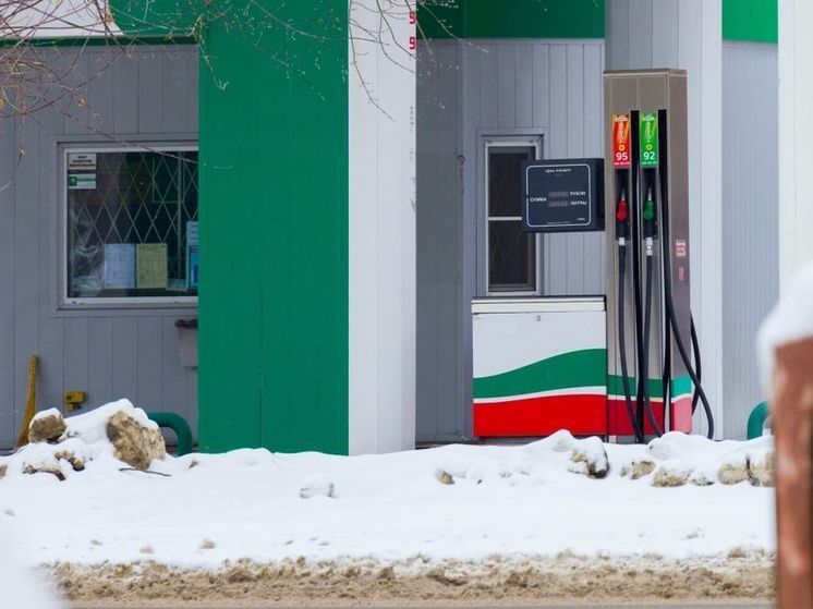 В Челябинске оштрафуют юрлица, не убирающие снег у торговых точек