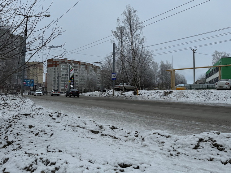 В Йошкар-Оле планируется создать еще два пешеходных перехода
