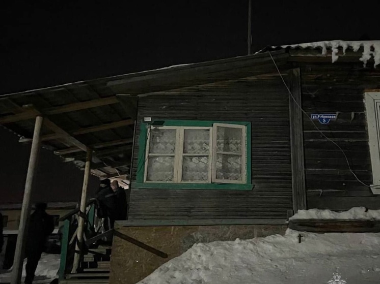 Пожар в хозяйственной постройке под Северодвинском унес жизнь человека