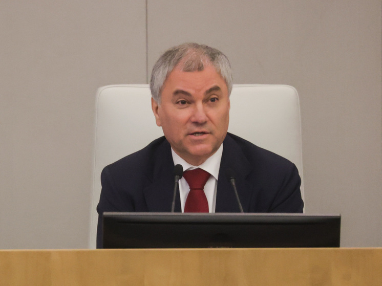 Володин призвал получавших финансирование из-за рубежа покаяться на Красной площади
