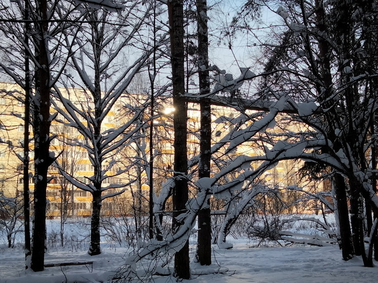 В Марий Эл ожидаются морозы до -20