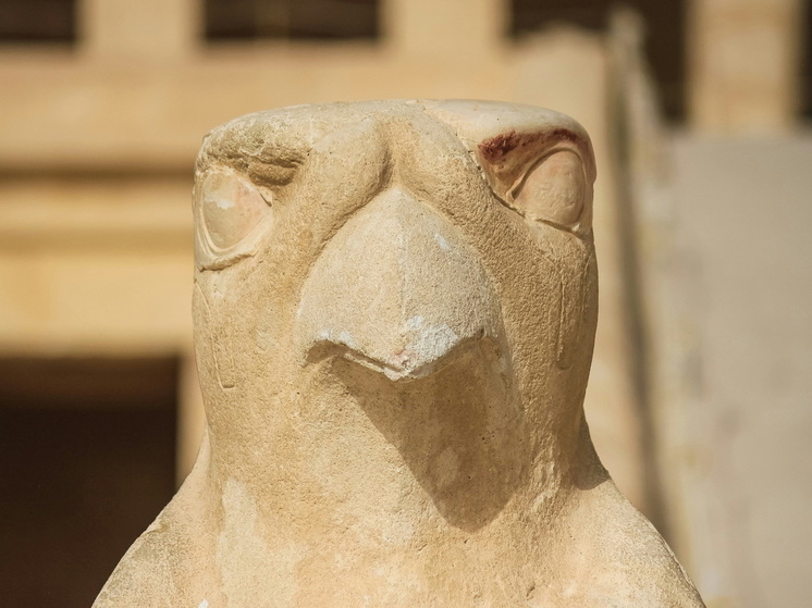 Ученые изучили древнеегипетские гробы из Британского музея: в них были не люди