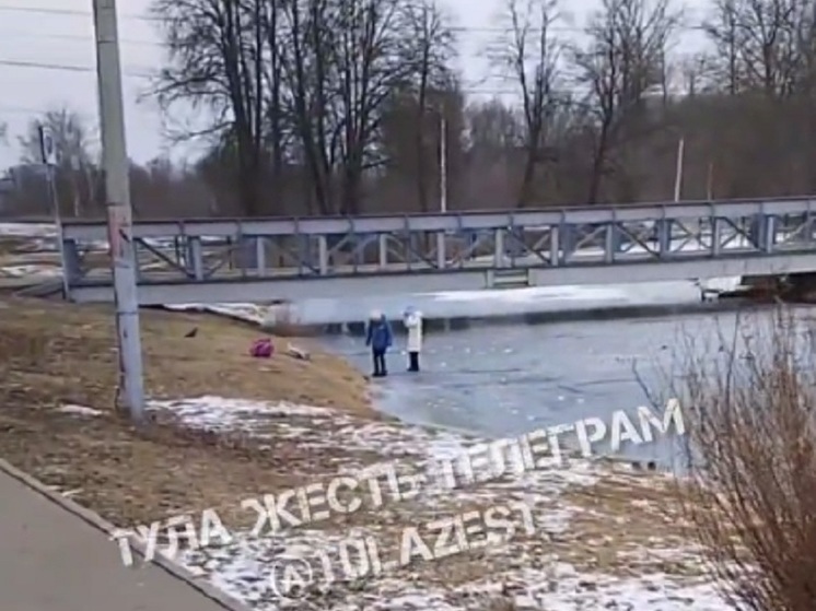 В Баташевском парке Тулы две девочки устроили игры на тонком льду