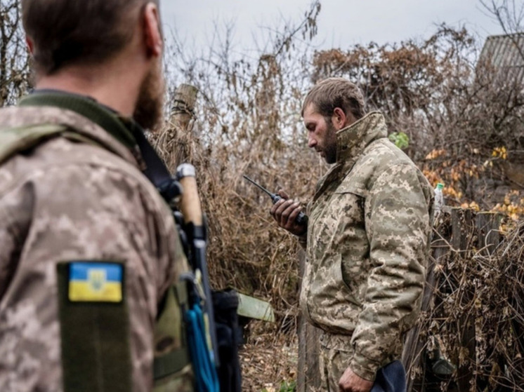 Профессор Малинен: путь к миру на Украине начнется с капитуляции НАТО