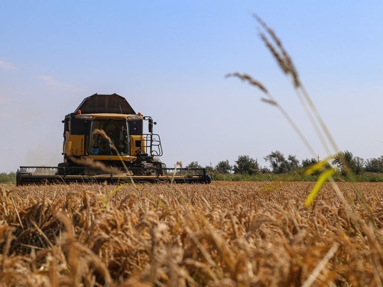 В Крыму открылась уникальная лаборатория для контроля качества продукции АПК