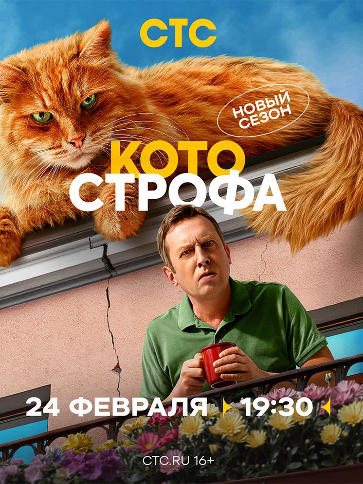 «Котострофа» на ТВ: Деревянко и Кологривый, как кот с собакой