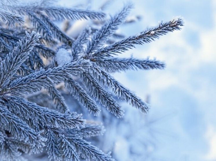 Чего нельзя делать в Васильев день, 12 февраля