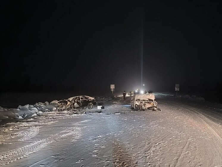 Водитель погиб в лобовом ДТП на трассе Лабытнанги — Харп