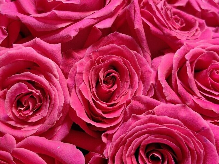 Не каждый презент может понравиться