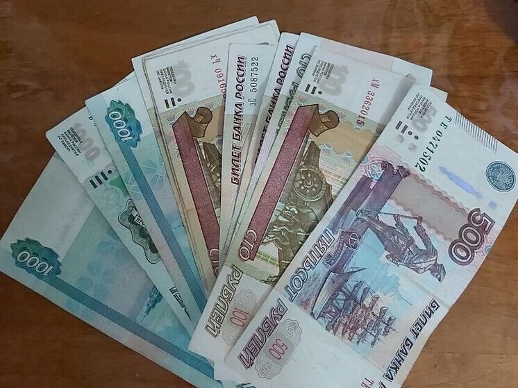 Жительница Хакасии случайно узнала о долге на свое имя