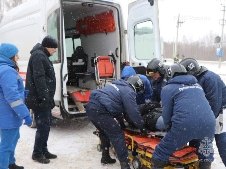 В Орловской области спасатели 5 раз за сутки помогли транспортировать пациентов в машины СМП