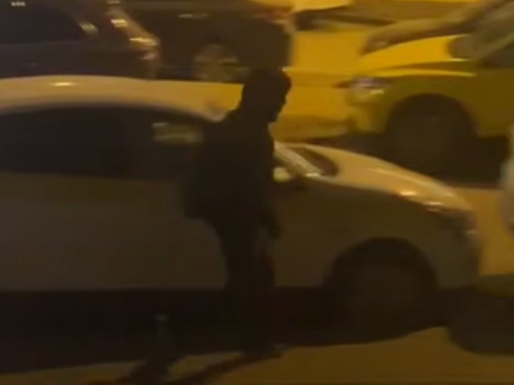 Автовандал в маске побил машины на парковке в Видном