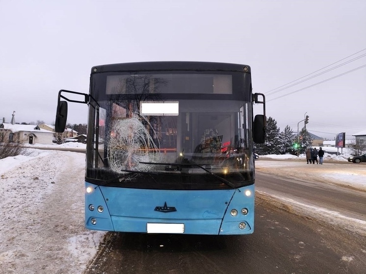 Пешехода сбил автобус в Великом Устюге