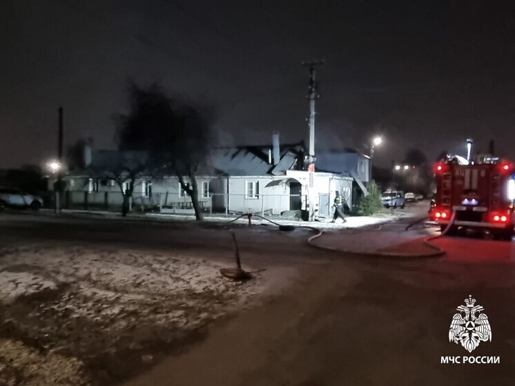 Пожарные спасли женщину и собаку из горящего дома во 2-м Дачном переулке Рязани