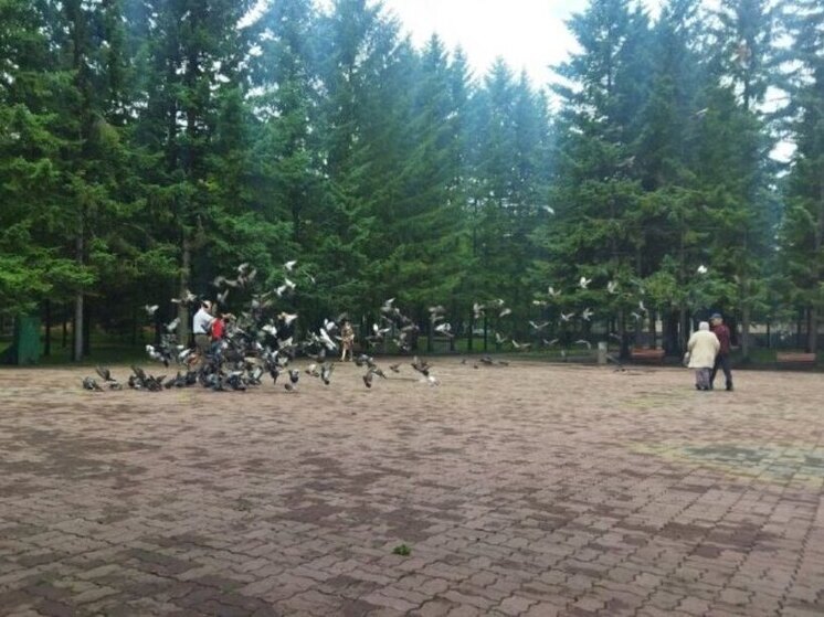 В ЕАО предварительная оценка численности населения оказалась выше ожидаемых цифр