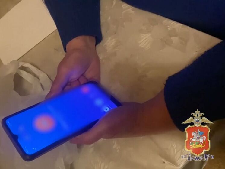 Пособника телефонных аферистов задержали в Раменском