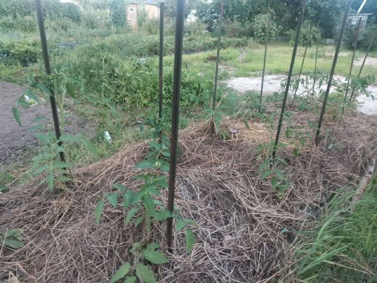 В Хабаровском крае владельцами ДВ-гектара стали больше 14 тысяч человек