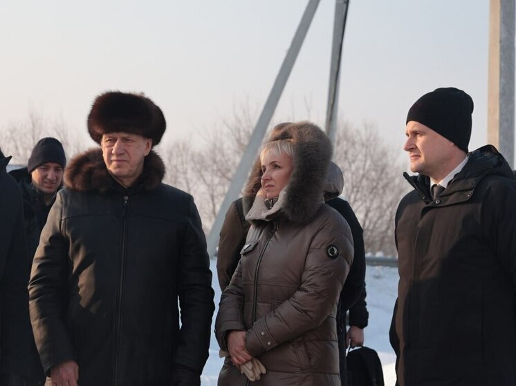 В Биробиджане старый мост через Биру показали полпреду президента