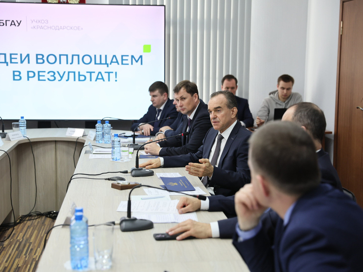 Краснодарский край планирует нарастить производство молока до 3 миллионов тонн к 2030 году