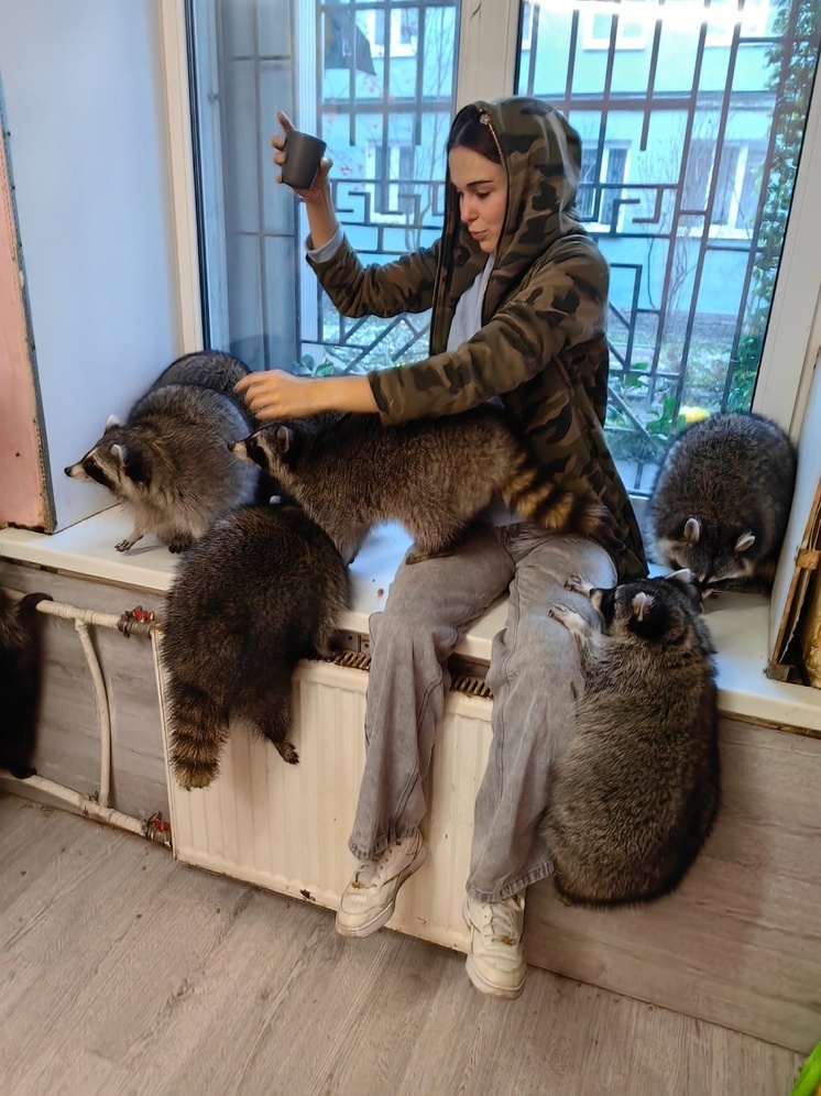 У петрозаводчан становятся популярными поездки за енототерапией