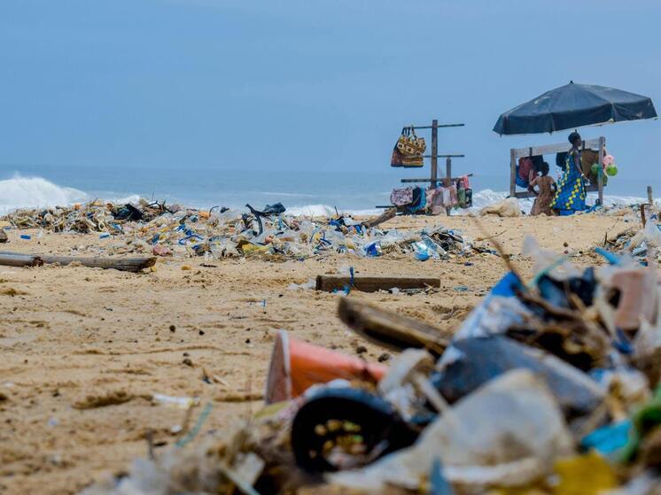 Мучные черви могут спасти планету от загрязнения пластиком: как это работает