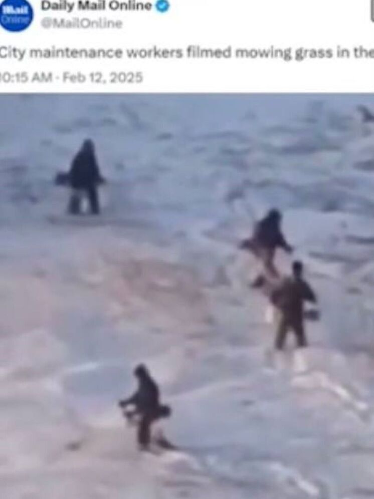 Daily Mail высмеяла коммунальщиков Тюмени, косивших траву зимой
