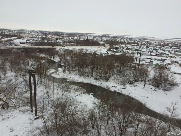 Подвесной мост через реку Сердоба в Пензенской области хотят продать за 5,3 млн рублей