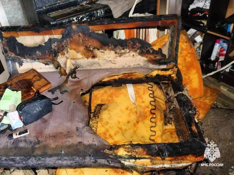 МЧС: жительницу Брянска отправили на год в тюрьму за гибель 100-летней бабушки