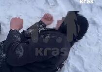 Канские полицейские начали проверку после появления в интернете видеозаписи драки между школьниками