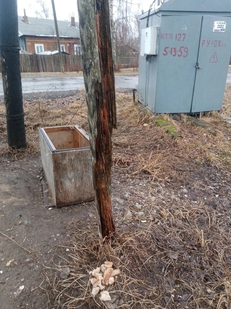 В Тверской области никак не могут заменить опасный столб линии электропередачи