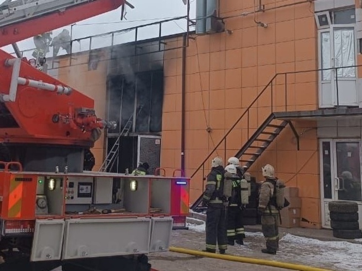 В Новомосковске при пожаре погиб уроженец Ростовской области