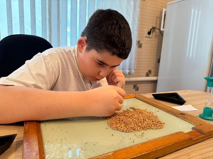 Ученики из Мангуша научились определять посевные качества семян