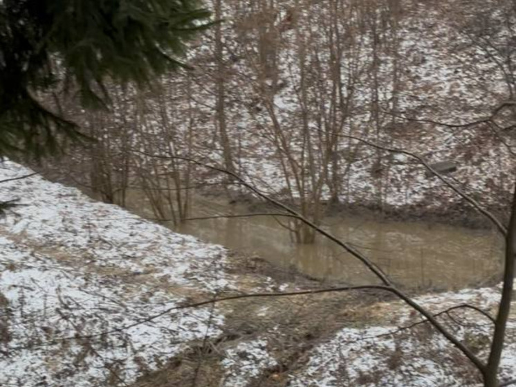 В Обнинске фекалии заполнили овраг