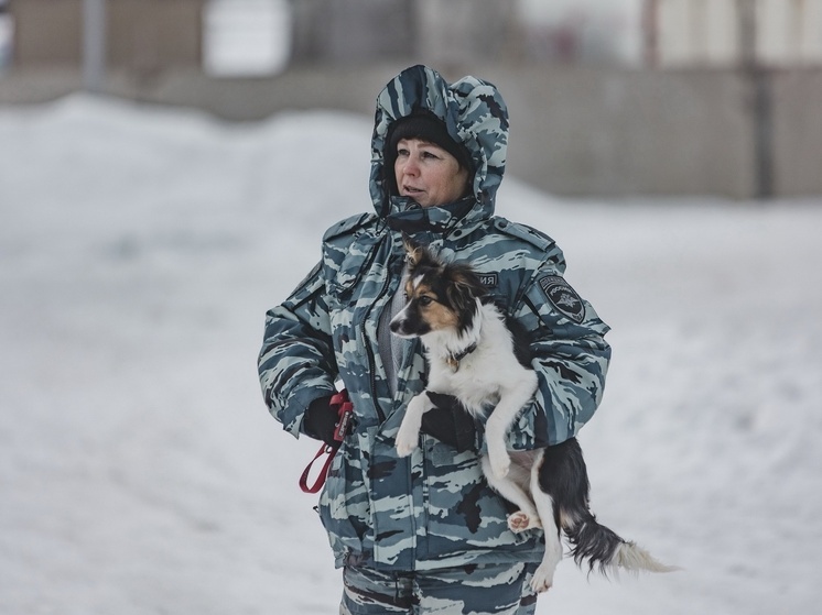 Костромские полицейские раскрыли преступление 2-летней давности