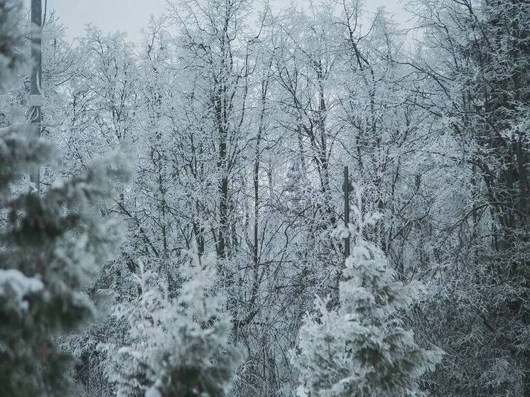 Пасмурно и комфортные −5°C прогнозируют в Нижнем Новгороде 13 февраля