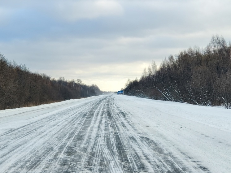 Томичей предупреждают об ухудшении погодных условий 13 февраля