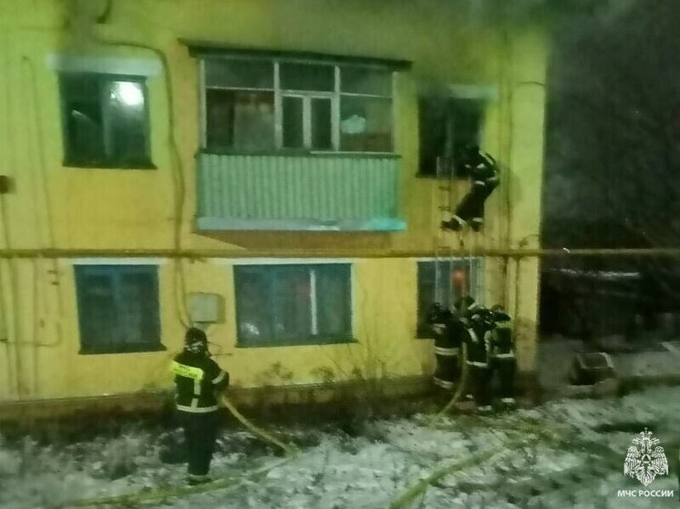 Тульские спасатели вывели 6 человек из горящего жилого дома в Куркино