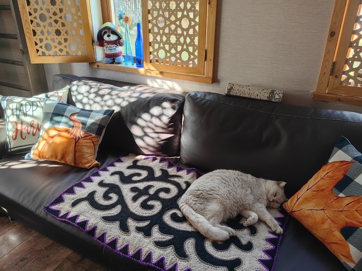 Оригинальные идеи сделать квартиру ближе к природе