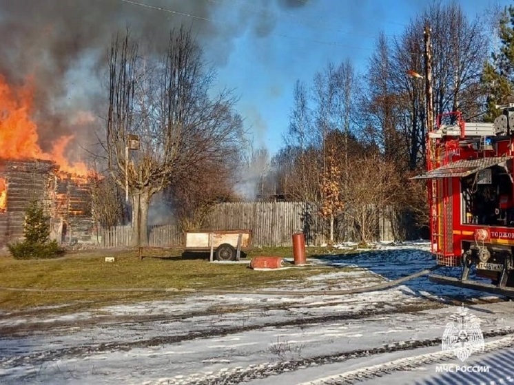 Днем в Тверской области сгорел дом в деревне