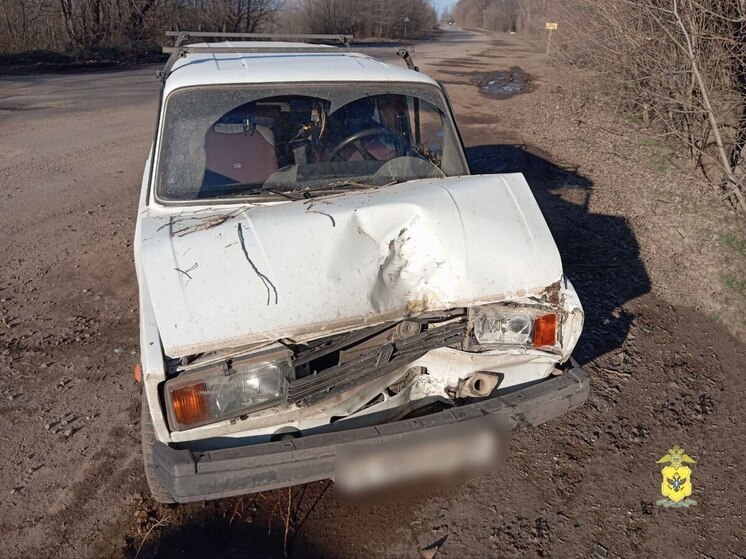 ДТП с пострадавшим произошло на трассе в пгт Брилевка Алешкинского округа