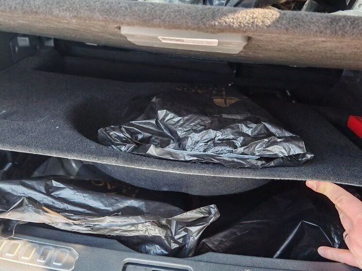 Таможенники Сочи пресекли ввоз на территорию РФ из Абхазии почти 600 пачек несанкционированных сигарет